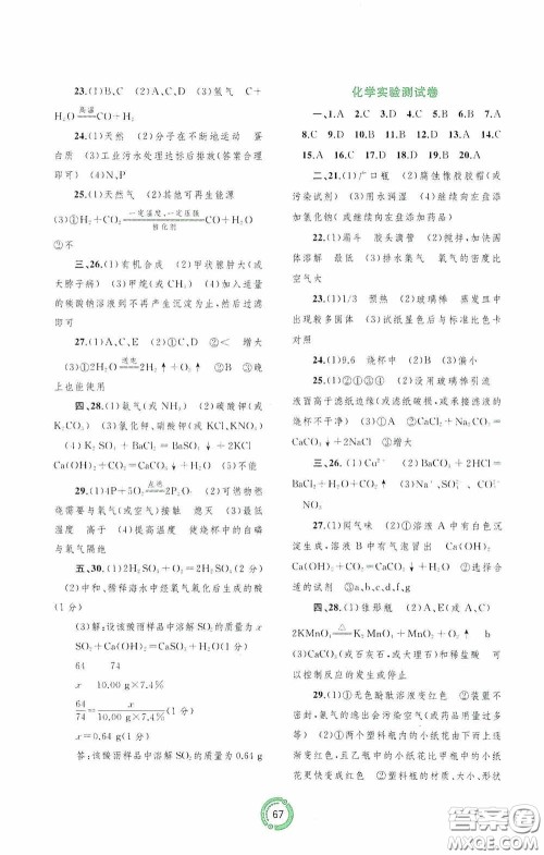 广西教育出版社2020中考先锋中考总复习配套测试卷化学课标版A答案 广西教育出版社2020中考先锋中考总复习配套测试卷化学课标版A答案