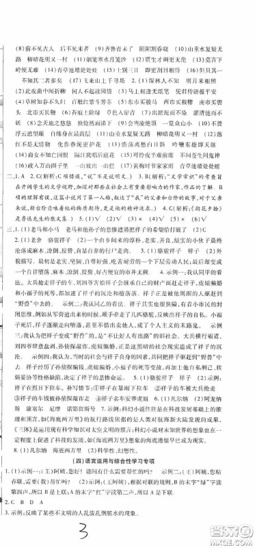 全程测评试卷2020期末复习大冲刺语文七年级下册答案 全程测评试卷2020期末复习大冲刺语文七年级下册答案