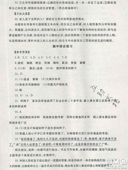 2020春海淀名师伴你学同步学练测六年级语文下册人教版答案