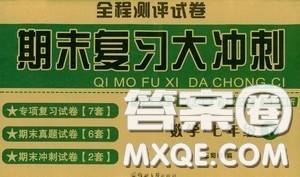 全程测评试卷2020期末复习大冲刺数学七年级下册答案