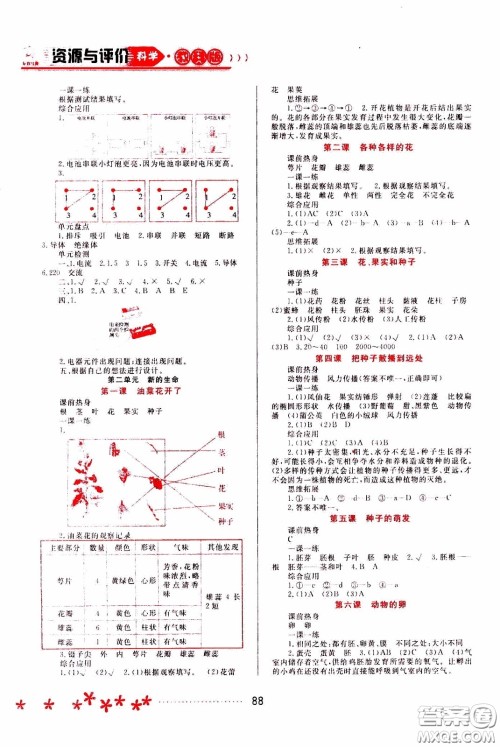 2020年资源与评价科学四年级下册教科版参考答案