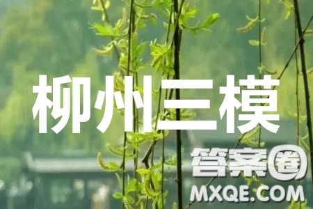 广西2020年高三毕业班4月模拟试题语文答案 广西2020年高三毕业班4月模拟试题语文答案
