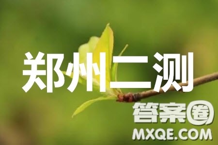 郑州市2020年高中毕业班年级第二次质量预测文科数学参考答案 郑州市2020年高中毕业班年级第二次质量预测文科数学参考答案