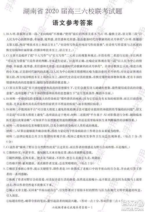 湖南省2020届高三六校联考试题语文答案 湖南省2020届高三六校联考试题语文答案