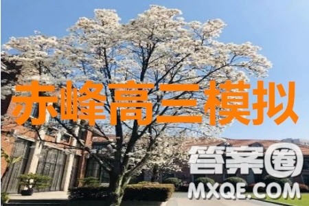 2020年内蒙古赤峰市高三4月模拟考试理科数学试题及答案