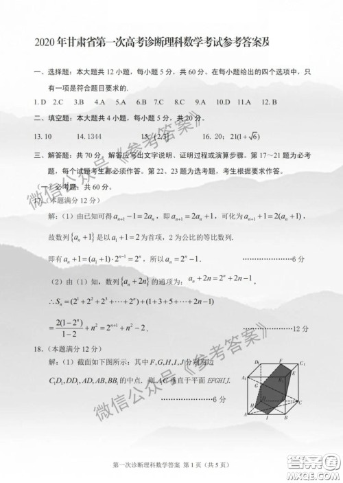 2020年甘肃省第一次高考诊断考试理科数学答案