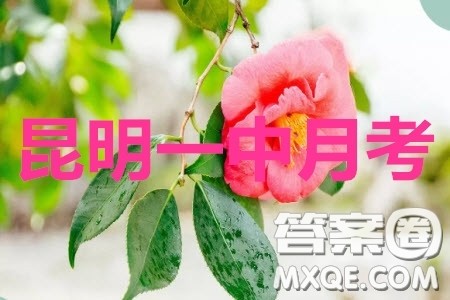 昆明第一中学2020届高中新课标高三第八次考前适应性训练文数试题及答案 昆明第一中学2020届高中新课标高三第八次考前适应性训练文数试题及答案