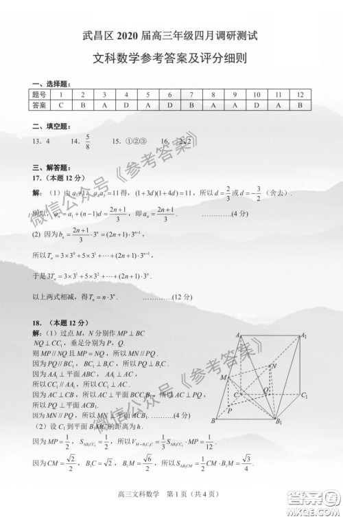 武昌区2020届高三年级四月调考文科数学答案