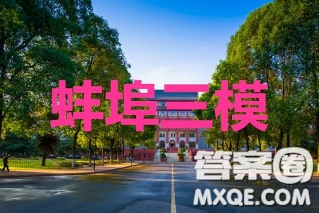 蚌埠市2020届高三年级第三次教学质量检查考试数学文史类参考答案