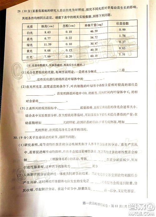 2020年甘肃省第一次高考诊断考试理科综合试题及答案