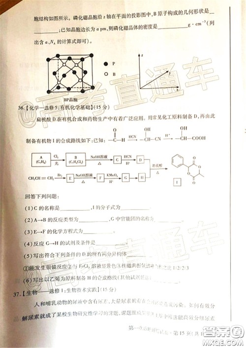 2020年甘肃省第一次高考诊断考试理科综合试题及答案