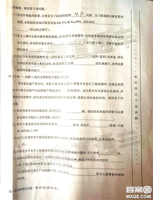 2020年甘肃省第一次高考诊断考试理科综合试题及答案 2020年甘肃省第一次高考诊断考试理科综合试题及答案