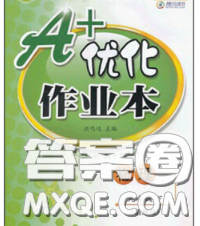 2020新版A+优化作业本九年级物理下册人教版参考答案 2020新版A+优化作业本九年级物理下册人教版参考答案