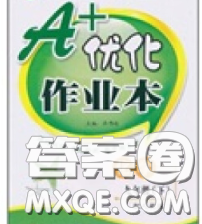 2020新版A+优化作业本九年级化学下册人教版参考答案 2020新版A+优化作业本九年级化学下册人教版参考答案