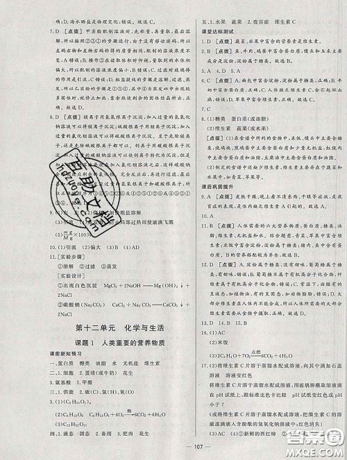 2020新版A+优化作业本九年级化学下册人教版参考答案 2020新版A+优化作业本九年级化学下册人教版参考答案