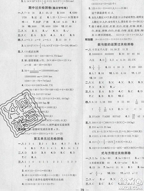 2020新版阳光同学一线名师全优好卷六年级数学下册人教版广东专版答案 2020新版阳光同学一线名师全优好卷六年级数学下册人教版广东专版答案