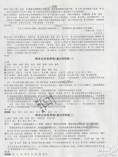 2020新版阳光同学一线名师全优好卷三年级语文下册人教版广东专版答案 2020新版阳光同学一线名师全优好卷三年级语文下册人教版广东专版答案