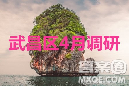 武昌区2020届高三年级四月调考理综试题及答案 武昌区2020届高三年级四月调考理综试题及答案