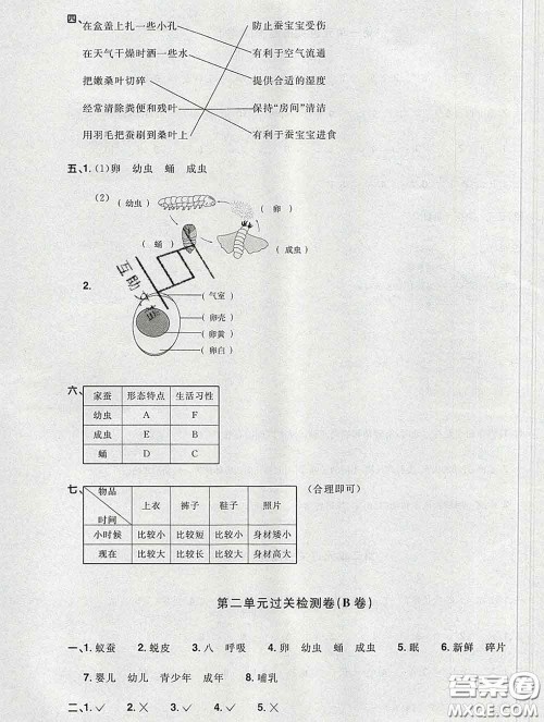 2020新版阳光同学一线名师全优好卷三年级科学下册教科版答案