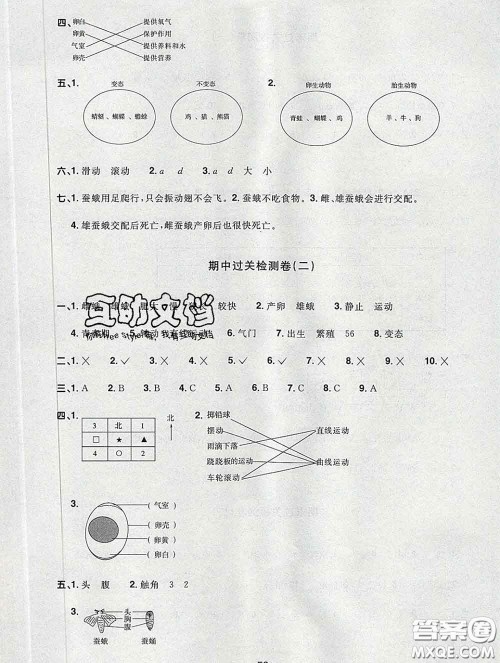 2020新版阳光同学一线名师全优好卷三年级科学下册教科版答案