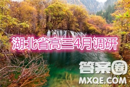 2020年湖北省高三4月线上调研考试文科数学答案 2020年湖北省高三4月线上调研考试文科数学答案