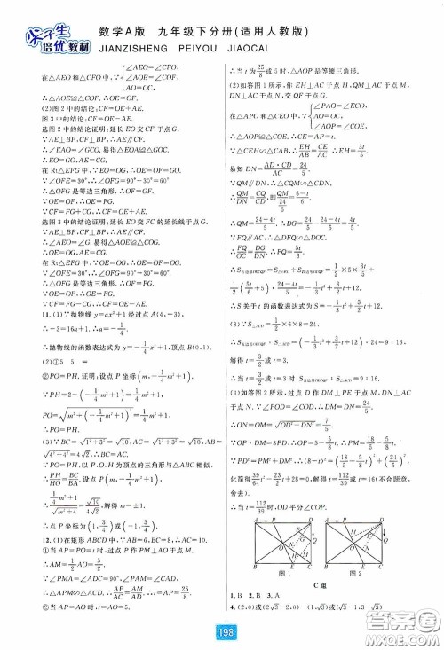 华东师范大学出版社2020尖子生培优教材九年级数学人教版A版全一册下分册双色板答案