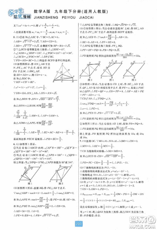 华东师范大学出版社2020尖子生培优教材九年级数学人教版A版全一册下分册双色板答案