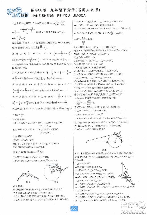 华东师范大学出版社2020尖子生培优教材九年级数学人教版A版全一册下分册双色板答案