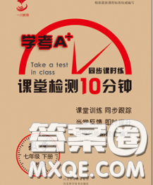 2020一川教育学考A+课堂检测10分钟七年级数学下册人教版答案