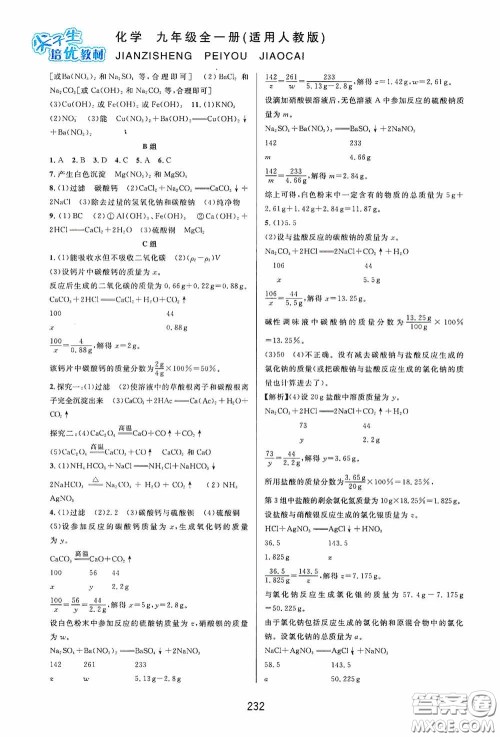 华东师范大学出版社2020尖子生培优教材九年级化学全一册人教版双色版答案