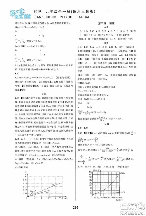 华东师范大学出版社2020尖子生培优教材九年级化学全一册人教版双色版答案