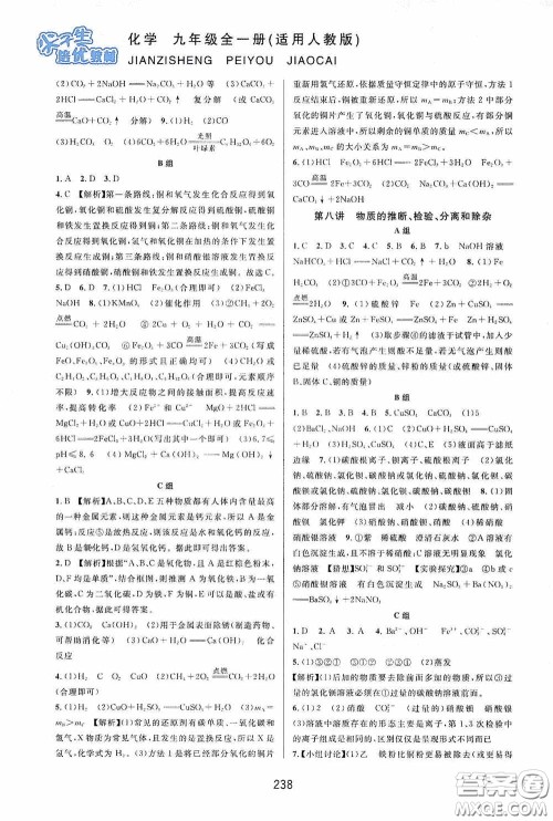 华东师范大学出版社2020尖子生培优教材九年级化学全一册人教版双色版答案