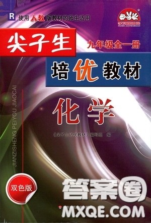 华东师范大学出版社2020尖子生培优教材九年级化学全一册人教版双色版答案