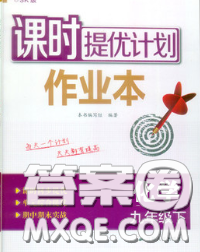 2020新版课时提优计划作业本九年级化学下册沪教版答案