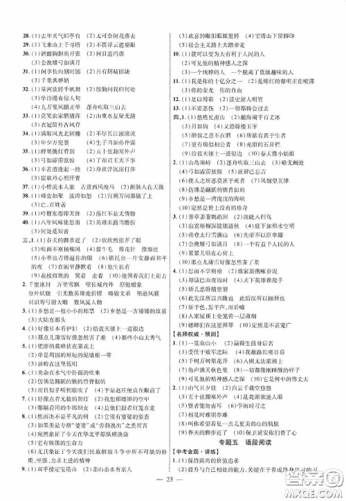 2020陕西中考总复习优化指导语文精讲版答案 2020陕西中考总复习优化指导语文精讲版答案