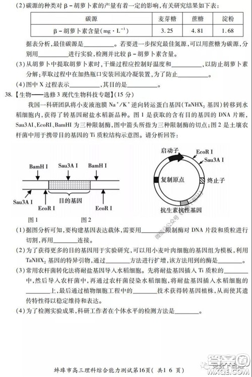 蚌埠市2020届高三年级第三次教学质量检查考试理科综合试题及答案 蚌埠市2020届高三年级第三次教学质量检查考试理科综合试题及答案