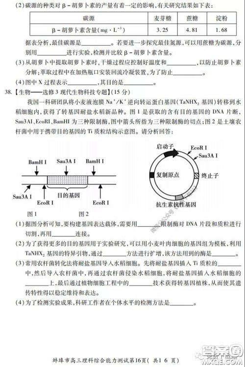 蚌埠市2020届高三年级第三次教学质量检查考试理科综合试题及答案