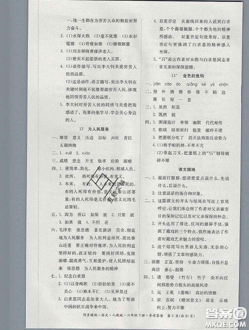 2020新版同步精练六年级语文下册人教版参考答案