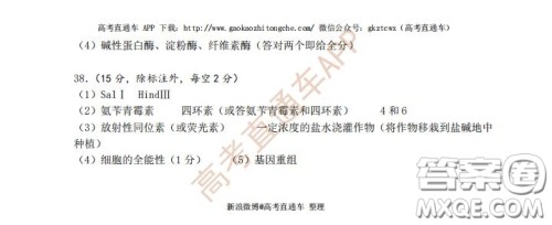 宜昌市2020届高三4月线上统一调研测试理科综合试题及答案 宜昌市2020届高三4月线上统一调研测试理科综合试题及答案