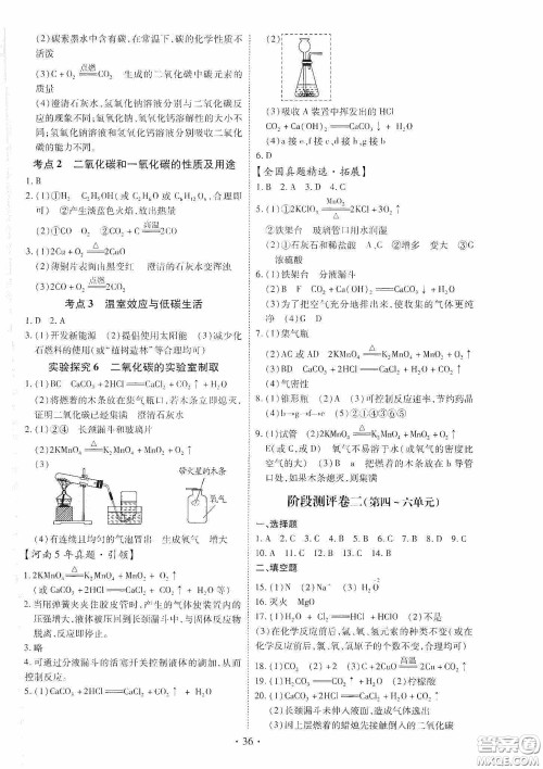 2020河南省初中毕业生学业考试复习指导+化学答案