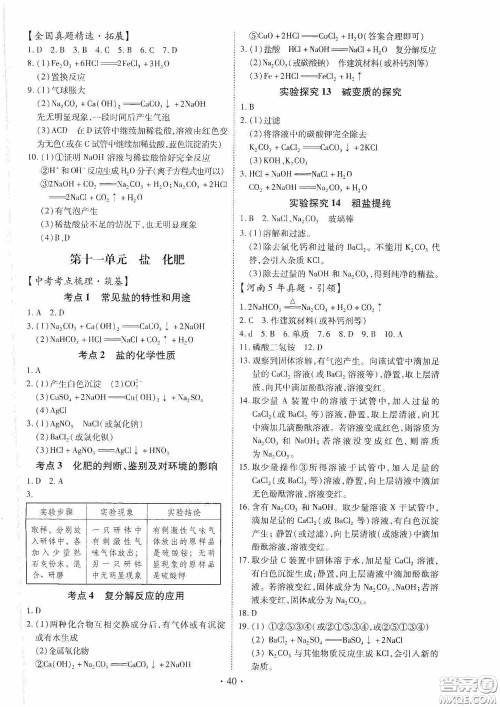 2020河南省初中毕业生学业考试复习指导+化学答案