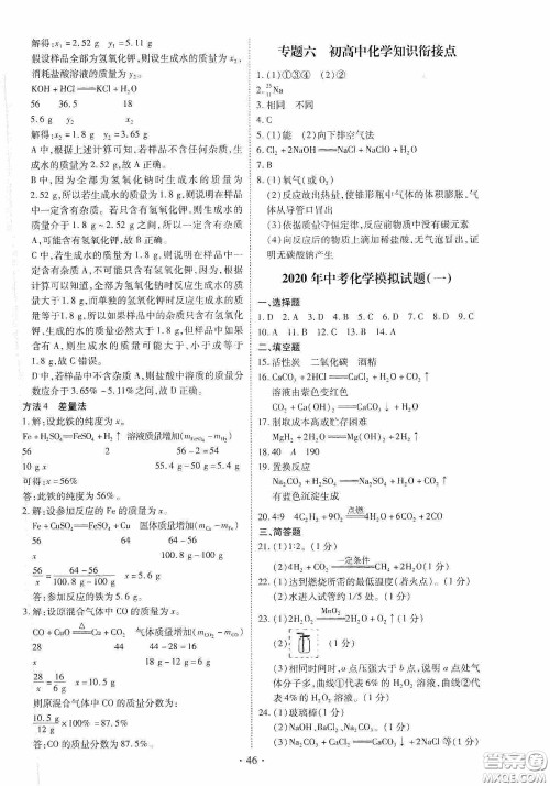 2020河南省初中毕业生学业考试复习指导+化学答案