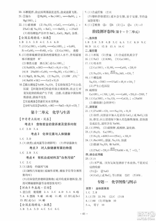 2020河南省初中毕业生学业考试复习指导+化学答案