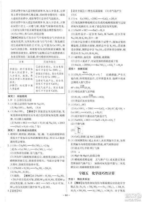 2020河南省初中毕业生学业考试复习指导+化学答案