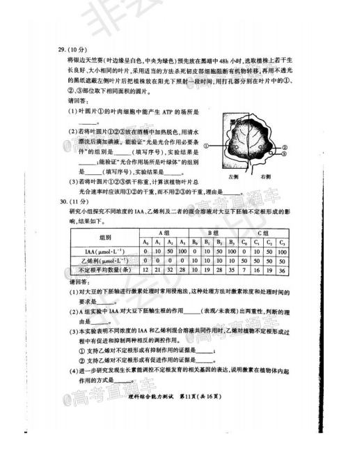 厦门市2020届高中毕业班第一次质量检查理科综合试题及答案 厦门市2020届高中毕业班第一次质量检查理科综合试题及答案