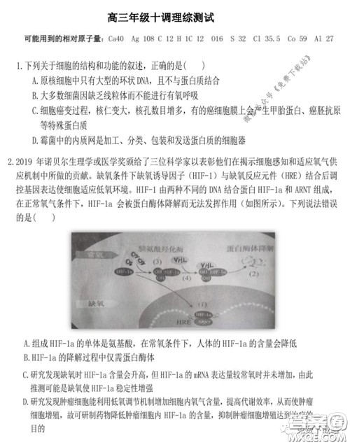 衡水中学2019-2020学年度高三年级十调考试理综试题及答案 衡水中学2019-2020学年度高三年级十调考试理综试题及答案