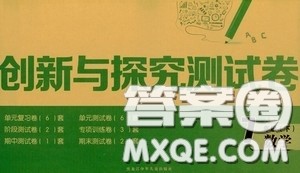 2020创新与探究测试卷七年级数学下册人教版答案