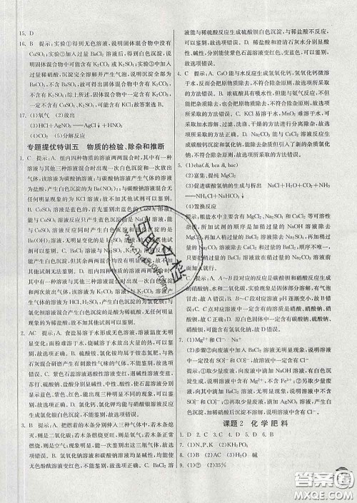 春雨教育2020春实验班提优训练九年级化学下册人教版答案