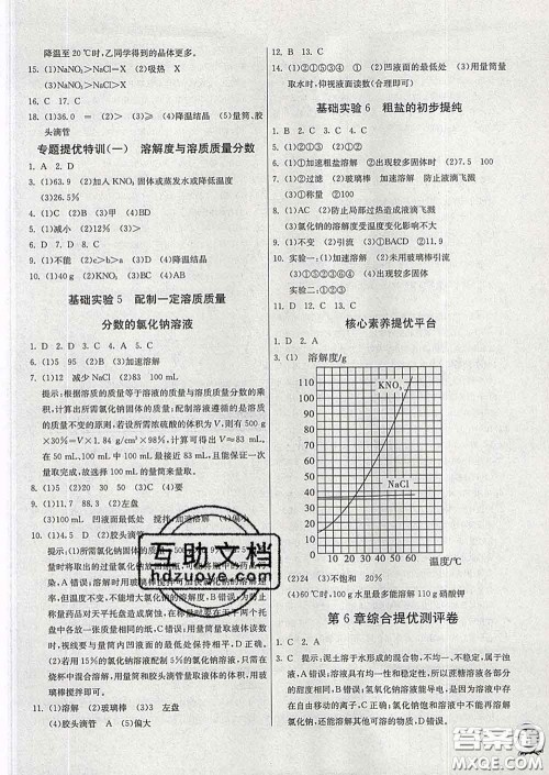 春雨教育2020春实验班提优训练九年级化学下册沪教版答案
