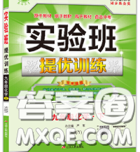 春雨教育2020春实验班提优训练九年级化学下册鲁教版答案